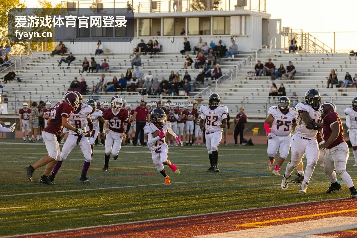 爱游戏体育官网登录密码找回流程界面示意图